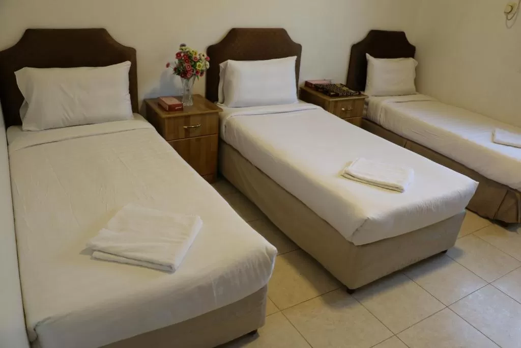 Al Alya Hotel